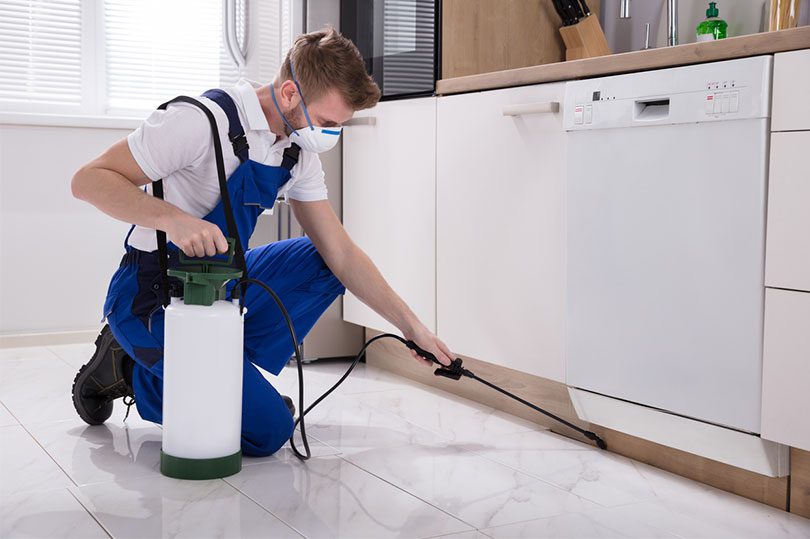 Top 7 tips to clean modular kitchen racks 2 Kitchen pest control